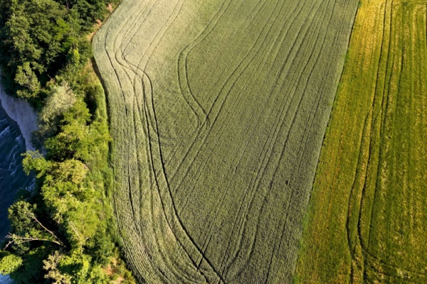 Les bonnes conditions agricoles et environnementales (BCAE) sont une série de normes visant à garantir la préservation de l’environnement dans le milieu agricole, dont le respect permet l’obtention de différentes aides. Dans ce cadre, la BCAE 4 fait l’objet d’aménagements…