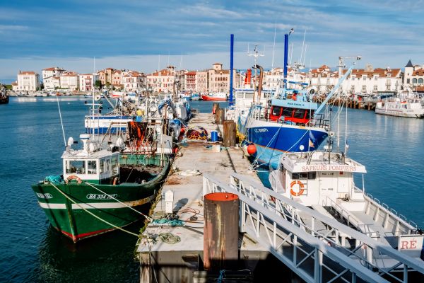 Dans le cadre de leur activité, les navires de pêche doivent se plier à des obligations déclaratives avant leur retour au port. Des obligations qui ont fait l’objet d’une refonte totale par le Gouvernement… Tour d’horizon…