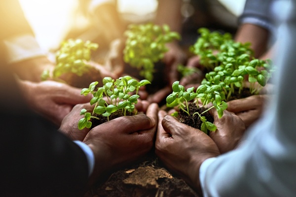 En vue de faciliter le redressement des exploitations agricoles, une aide pour la réalisation d'un audit global de l'exploitation et une aide à la relance de l’exploitation peuvent être allouées. Les conditions pour bénéficier de ces aides sont assouplies…
