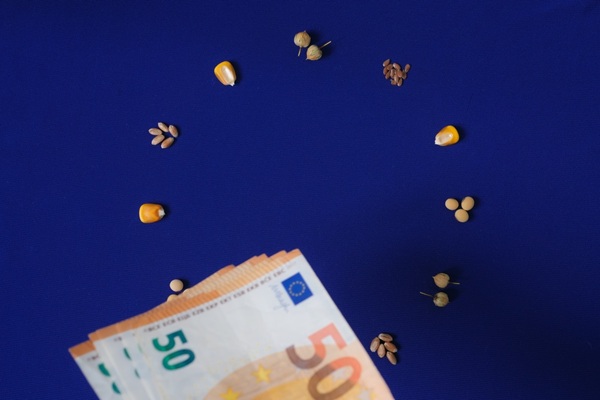 La politique agricole commune permet aux agriculteurs de bénéficier d’aides financières destinées à soutenir leurs activités. À condition néanmoins de respecter certains prérequis, qui viennent d’être précisés…