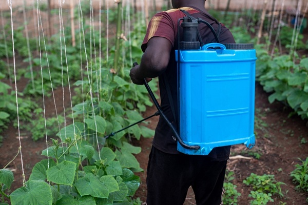 Les produits phytosanitaires devant être utilisés avec précautions, le Gouvernement a décidé de définir clairement les limites entre les activités de vente de ces produits et celles de conseils portant sur leur utilisation. Que faut-il savoir à ce sujet ?