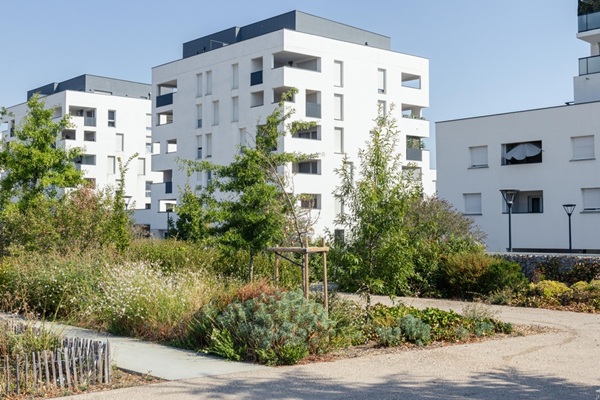La souscription au capital d’une société destinée à acquérir ou à construire un logement neuf outre-mer permet, sous conditions, de bénéficier d’une réduction d’impôt sur le revenu. Mais encore faut-il que les fonds investis soient effectivement affectés à l’opération dans le délai prévu. La signature d’un contrat de maîtrise d’ouvrage déléguée dans ce délai permet-elle de satisfaire à cette exigence ? Réponse du juge…