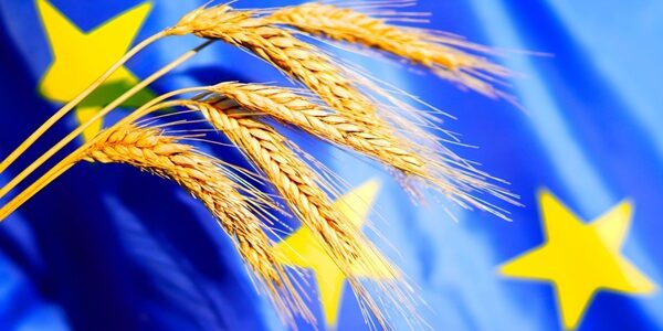 Wheat,On,European,Union,Flag,Background.,Eu,Agricultural,Policy,,Food