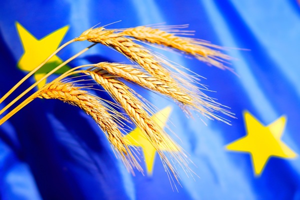Les bonnes conditions agricoles et environnementales (BCAE) sont un ensemble de règles que les agriculteurs européens doivent respecter pour obtenir des aides de la politique agricole commune (PAC). Des règles qui viennent de s’adapter spécifiquement aux haies…
